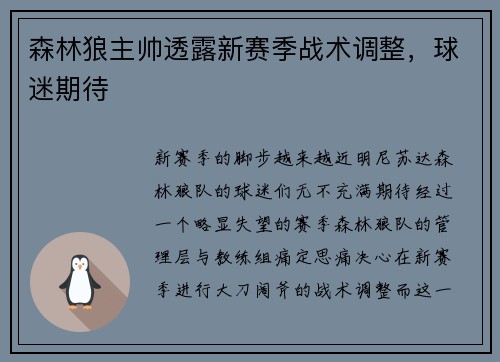 森林狼主帅透露新赛季战术调整，球迷期待
